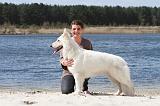 ADULTE ET CHIEN 031